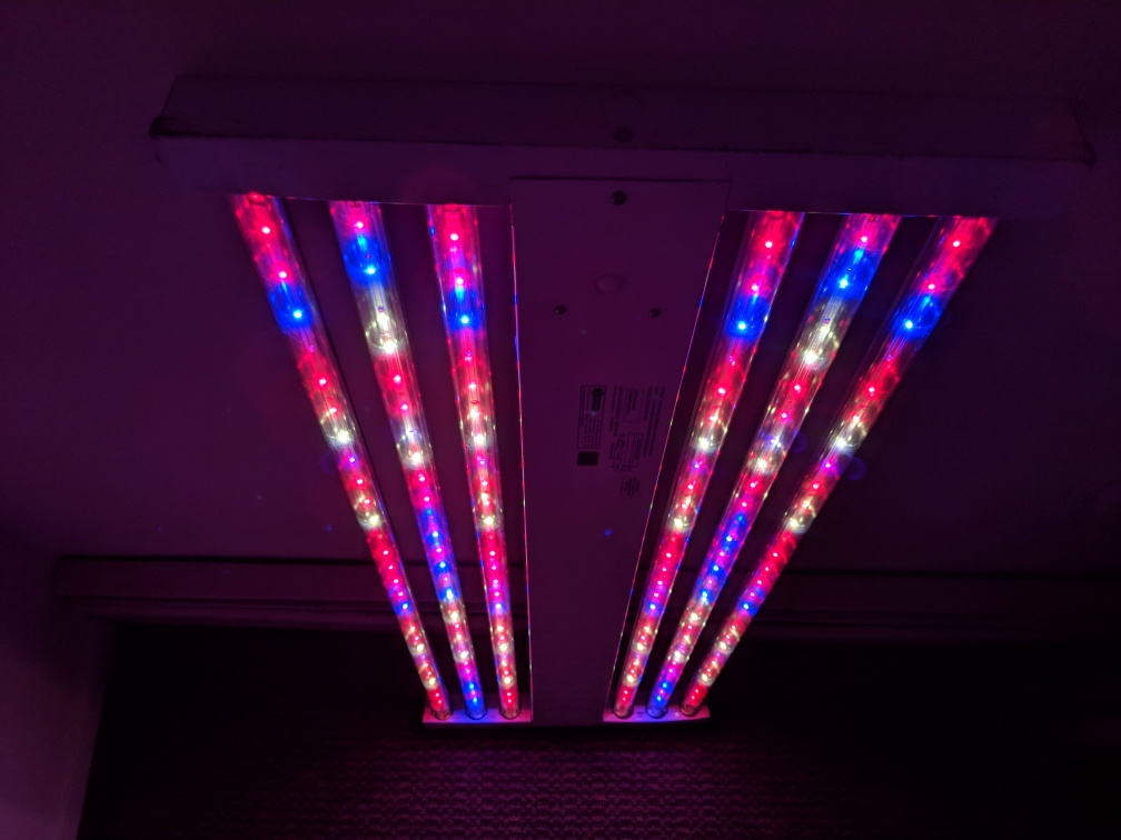 Cannabis grow light