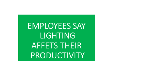 Employees Say Lighting Affect Their Productivity